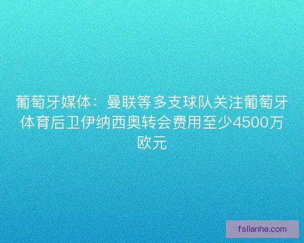 葡萄牙媒体：曼联等多支球队关注葡萄牙体育后卫伊纳西奥转会费用至少4500万欧元